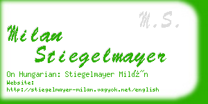 milan stiegelmayer business card